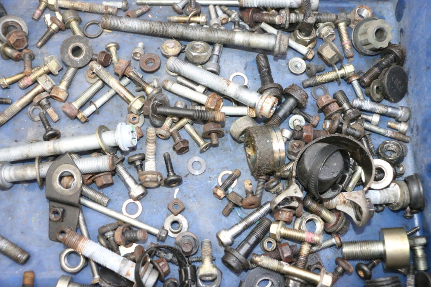 photo de SCREWS BAG TRIUMPH SPRINT 900 (1995 - 1998) - Component detail