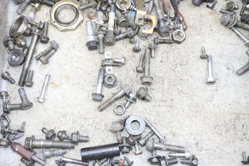 photo de SCREWS BAG PEUGEOT TWEET PRO CARGO 50 (2018 - 2022) - Zoom on usage condition