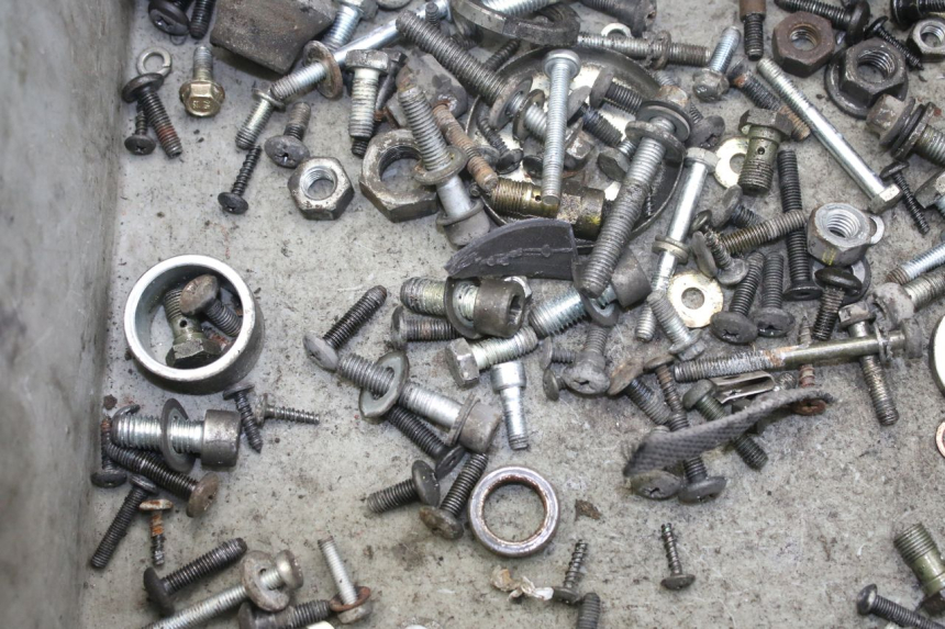 photo de SCREW BAG PIAGGIO X9 EVOLUTION 250 (2003 - 2007) - Zoom on usage condition