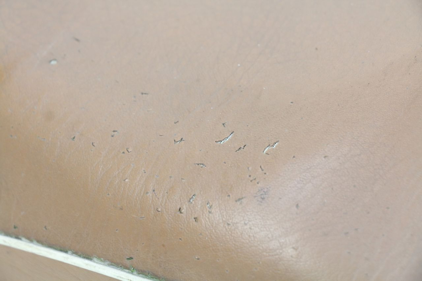 photo de SEAT RIDE CLASSIC 2T 50 (2014 - 2022) - Distinctive features