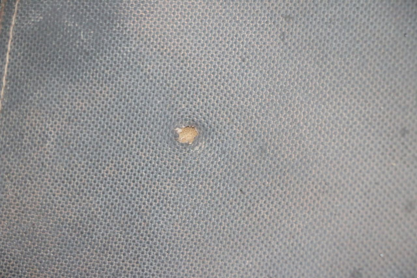 photo de SEAT LONGJIA DIGITA 4T 50 (2019 - 2022) - High-resolution close-up