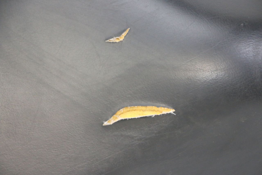 photo de SEAT PEUGEOT ELYSTAR 50 (2002 - 2014) - Detailed visual inspection