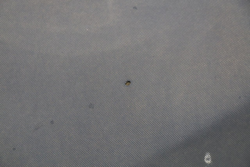 photo de SEAT JONWAY GTX 2T 50 (2014 - 2020) - High-resolution close-up