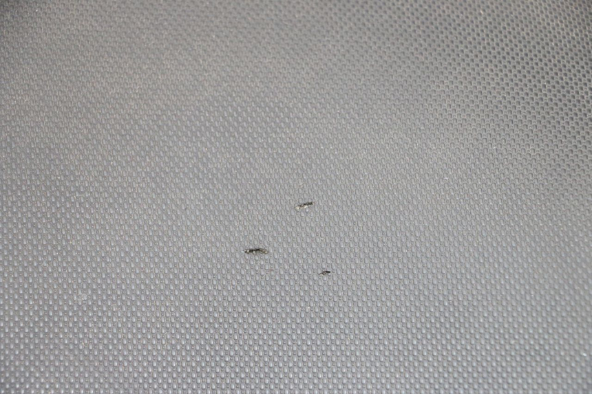 photo de SEAT MBK MACH G AC 50 (2002 - 2014) - Component zoom