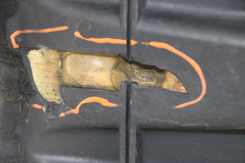 photo de SEAT GILERA NEXUS 125 (2009 - 2013) - Distinctive features