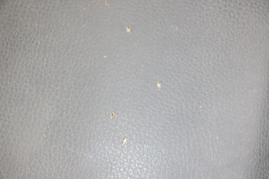 photo de SEAT SYM ORBIT 2 4T 50 (2008 - 2017) - Alternative perspective