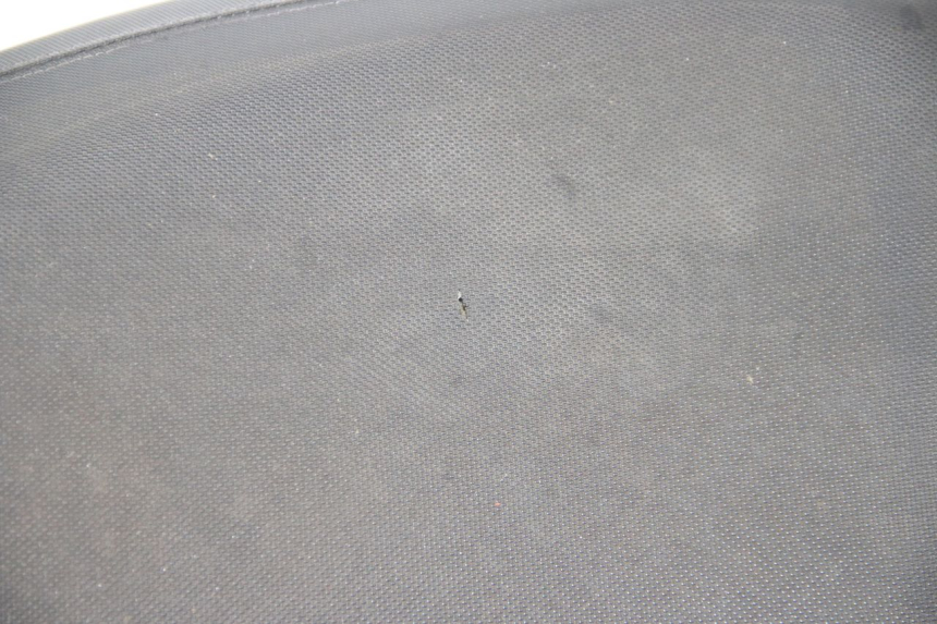 photo de SEAT TNT MOTOR ROMA 10' 4T 50 (2007 - 2018) - Additional view of the item