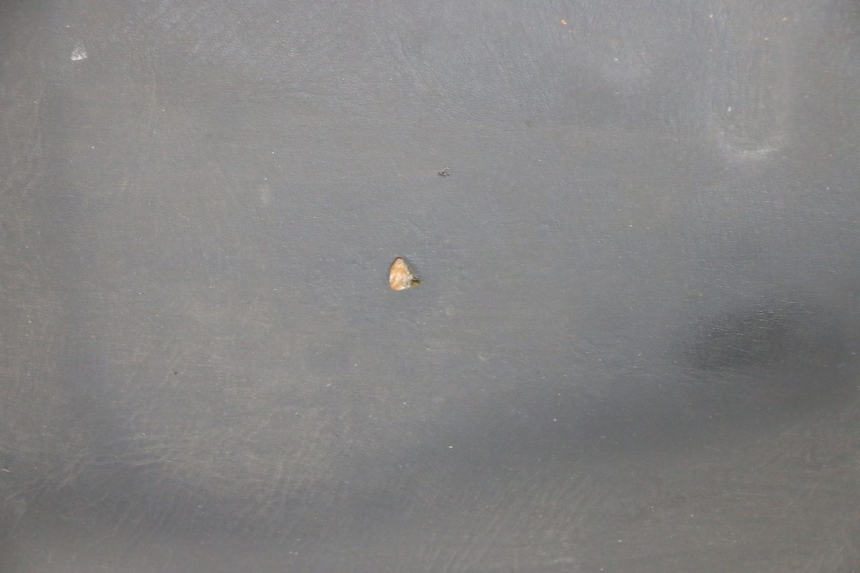 photo de SEAT HONDA SCV LEAD 100 (2003 - 2007) - Alternative angle