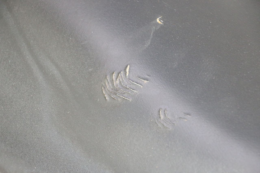 photo de SEAT YAMAHA SLIDER 50 (1999 - 2004) - Technical close-up