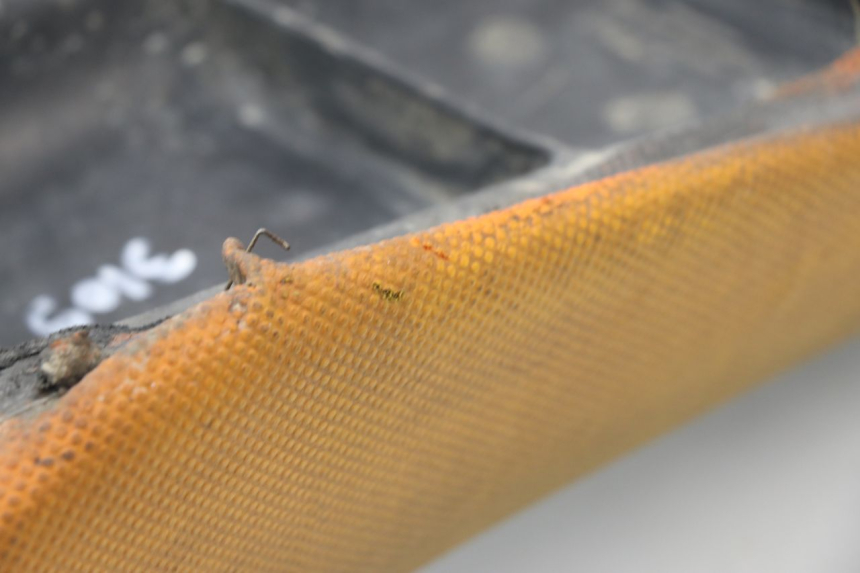 photo de SEAT KTM SX 85 (2003 - 2012) - Alternative perspective