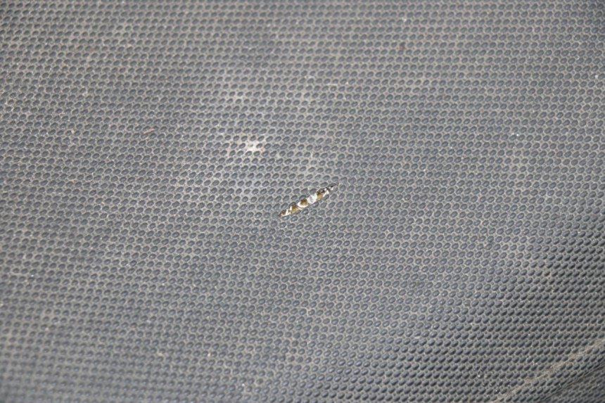 photo de SEAT BHM WACO 4T 50 (2008 - 2015) - Component detail