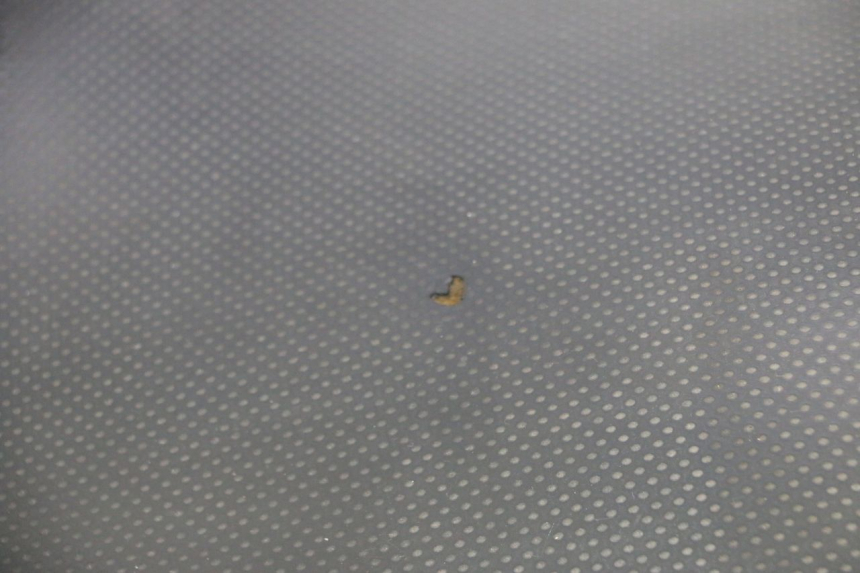 photo de SEAT YAMAHA XMAX X-MAX 125 (2006 - 2009) - Used quality zoom