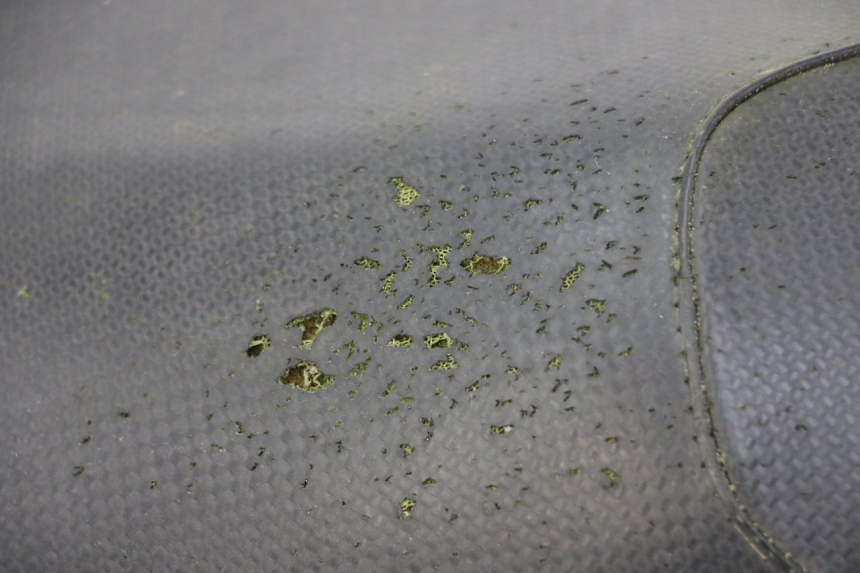 photo de SEAT YAMAHA AEROX 50 (1997 - 2006) - Fixing points details