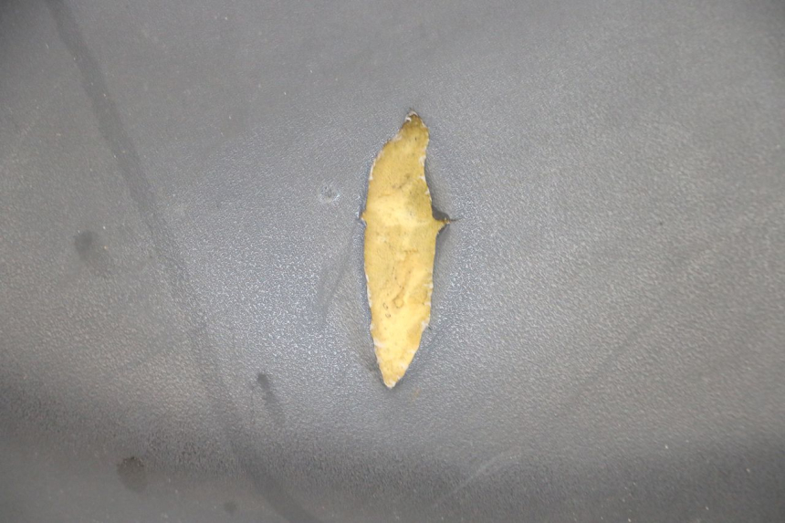 photo de SEAT YAMAHA NEOS NEO'S 4T 50 (2008 - 2016) - Distinctive features