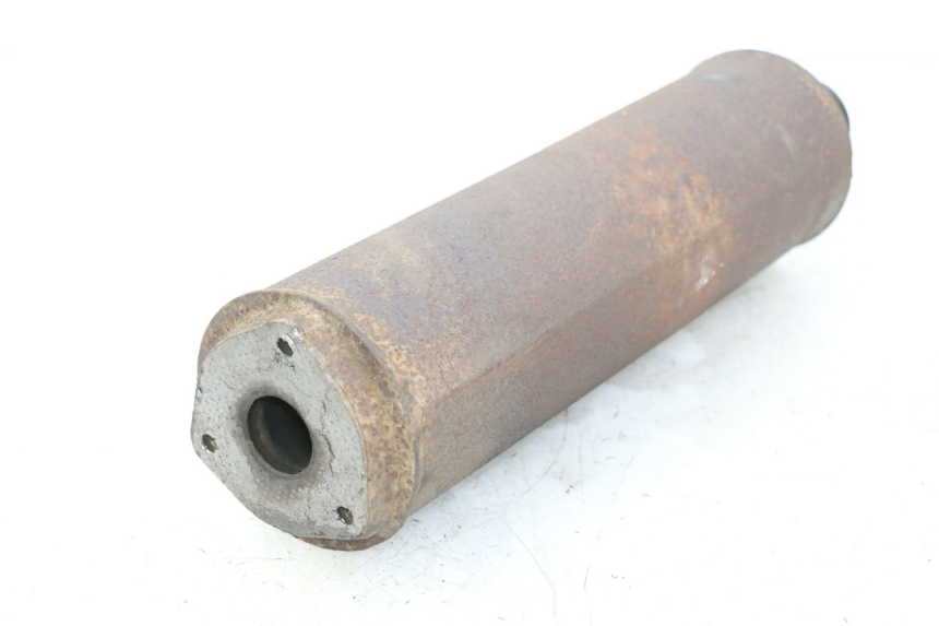 photo de EXHAUST SILENCER IMF INDUSTRIE PACH 2T 50 (2009 - 2018) - Technical close-up