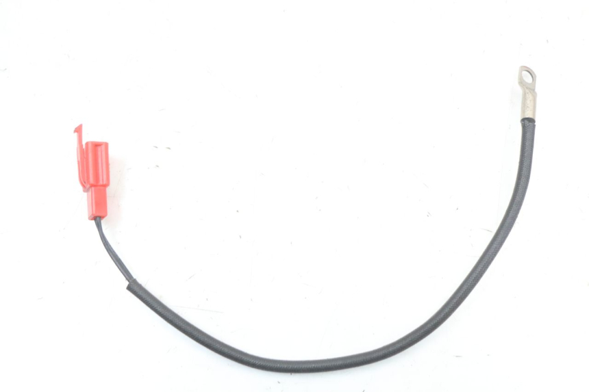 photo de SENSOR ARCHIVE CAFE RACER 4T 50 (2019 - 2024) - Main view