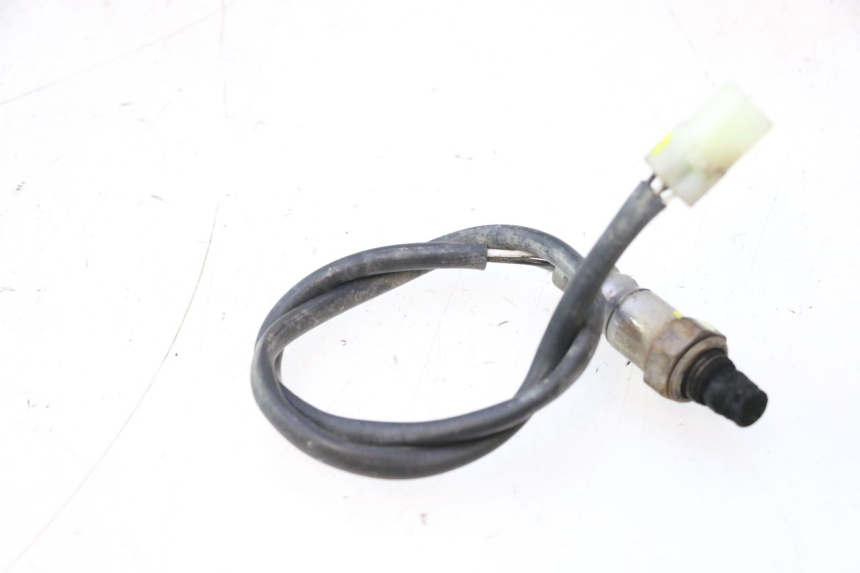 photo de LAMBDA SENSOR MASH DIRT TRACK 50 (2018 - 2020) - Component detail