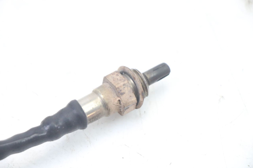 photo de LAMBDA SENSOR JM MOTORS OLDIES GT 4T 50 (2018 - 2025) - Alternative perspective