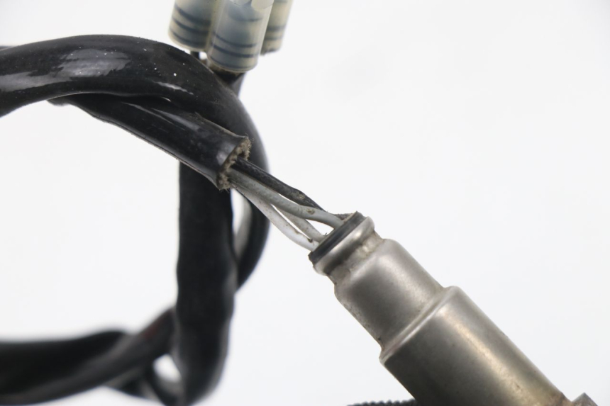 photo de LAMBDA SENSOR JM MOTORS SUNNY 50 (2017 - 2020) - Zoom on usage condition