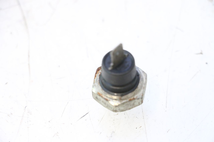 photo de OIL PRESSURE SENSOR CAN-AM SPYDER RS 1000 (2008 - 2012) - Zoom on usage condition