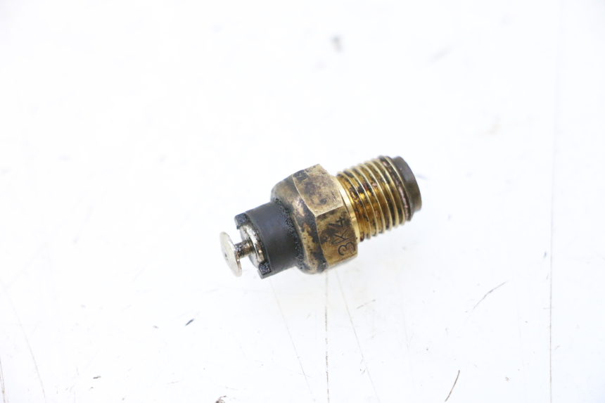 photo de SENSOR DUCATI SS IE DS CARENEE 1000 (2002 - 2006) - Main view