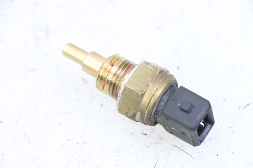 photo de WATER TEMPERATURE SENSOR VENT DERAPAGE 50 (2018 - 2023) - Zoom on usage condition