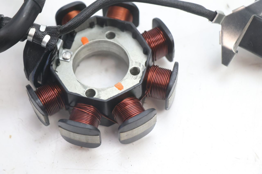 photo de STATOR MASH DIRT TRACK 50 (2018 - 2020) - Zoom on usage condition