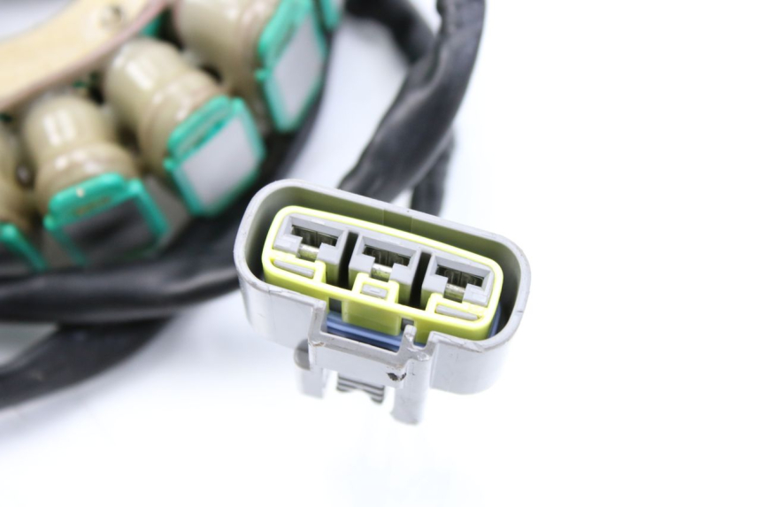 photo de STATOR BMW F GS K81 850 (2018 - 2023) - Zoom on usage condition