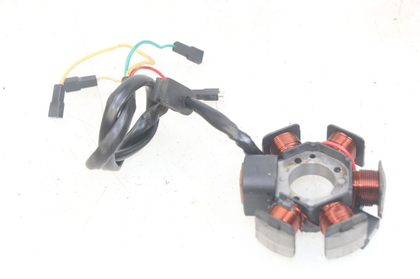 photo de STATOR DERBI GPR 50 (2004 - 2009) - Main view