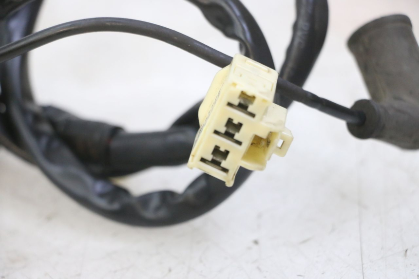 photo de STATOR PIAGGIO MP3 LT 300 (2010 - 2016) - Surface and material condition