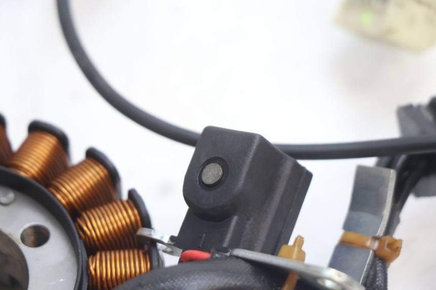 photo de STATOR PIAGGIO MP3 LT 300 (2010 - 2016) - Zoom on usage condition