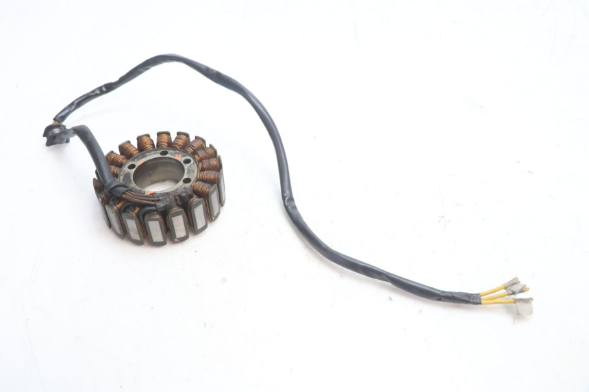 photo de STATOR DUCATI SS IE DS CARENEE 1000 (2002 - 2006) - Zoom on usage condition
