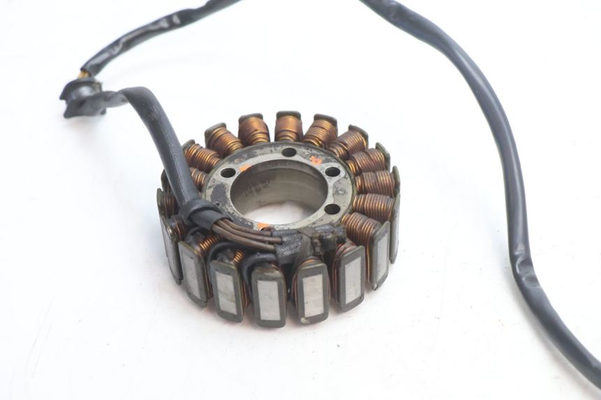 photo de STATOR DUCATI SS IE DS CARENEE 1000 (2002 - 2006) - Alternative perspective