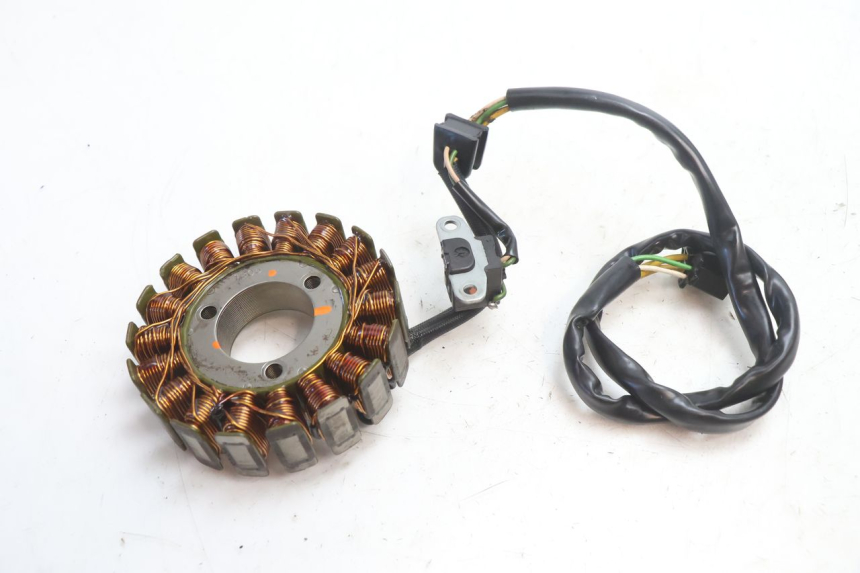 photo de STATOR SUZUKI SV S 650 (1999 - 2002) - Zoom on usage condition