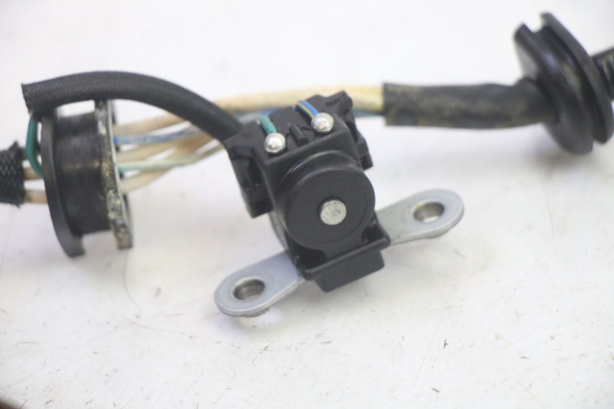 photo de STATOR YAMAHA TDM ABS 900 (2002 - 2014) - Alternative perspective