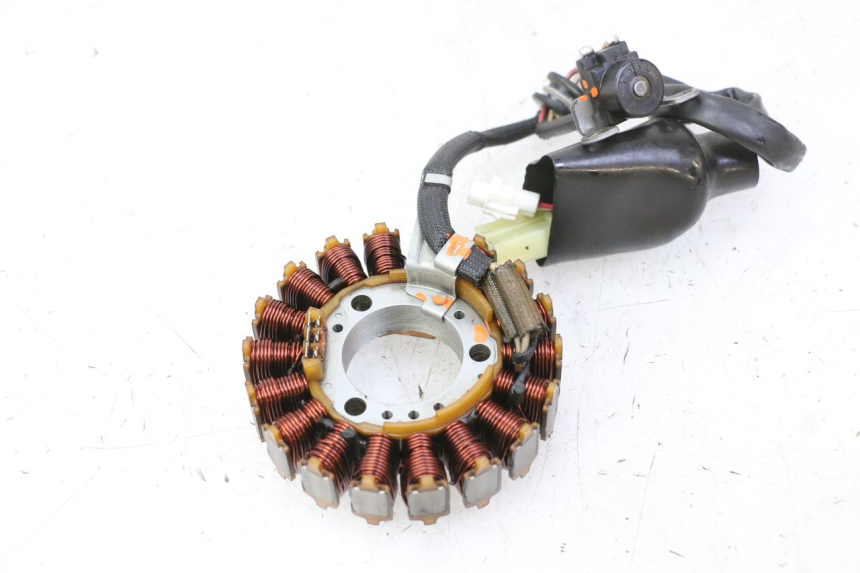 photo de STATOR YAMAHA X-MAX XMAX 250 (2006 - 2009) - Zoom on usage condition