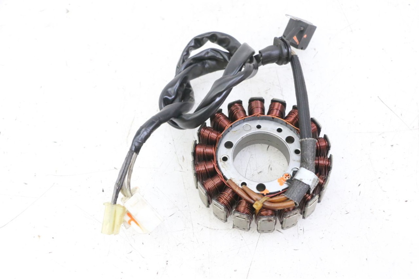 photo de STATOR YAMAHA FZS FAZER 600 (2001 - 2003) - Main view