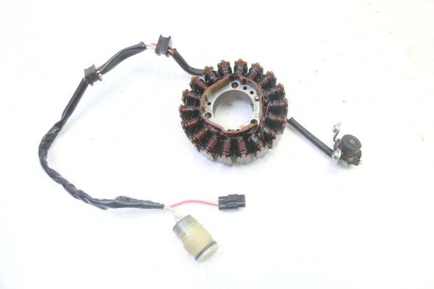 photo de STATOR YAMAHA YFM R RAPTOR 250 (2008 - 2014) - Main view