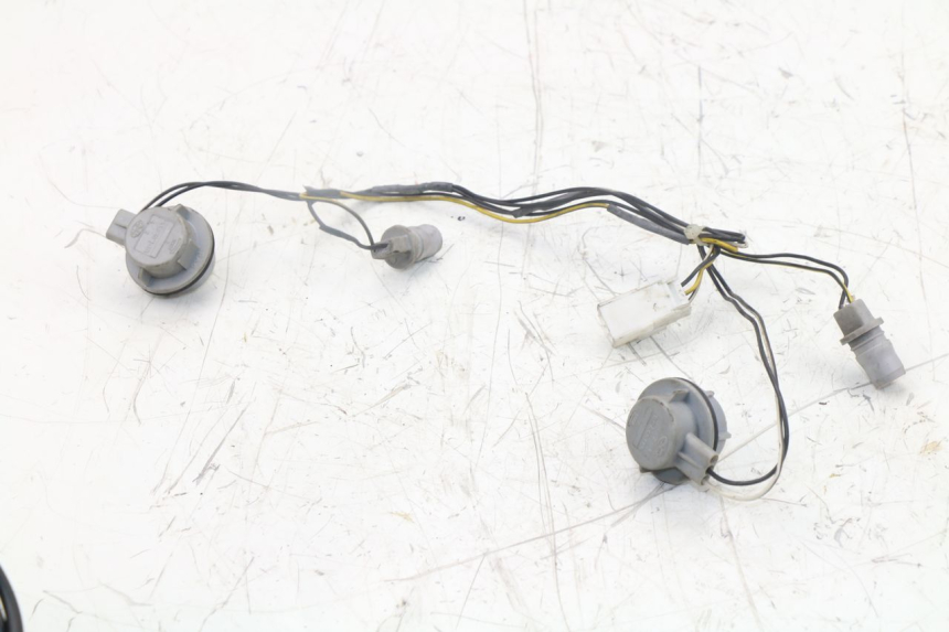 photo de BULB HOLDER PIAGGIO XEVO - X EVO 125 (2007 - 2017) - Technical close-up