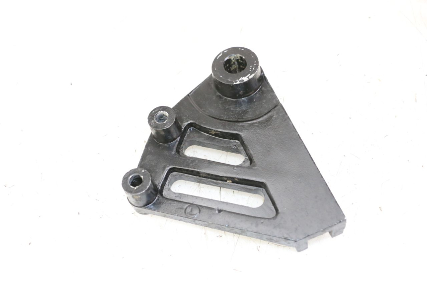 photo de REAR CALIPER BRACKET REGAL RAPTOR RAXTER 2 125 (2007 - 2015) - Component detail