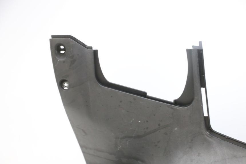 photo de INNER LEGSHIELD KYMCO DINK STREET 125 (2009 - 2014) - Main view