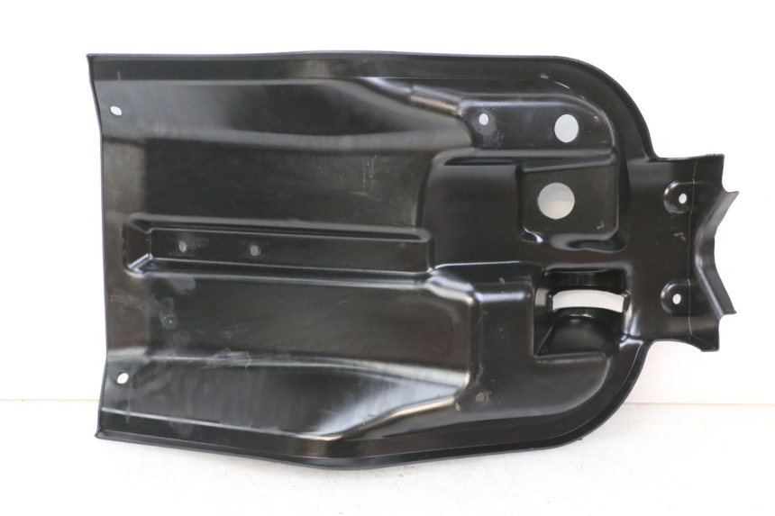 photo de INNER LEGSHIELD LIGIER PULSE 3 1 (2014 - 2020) - Alternative perspective