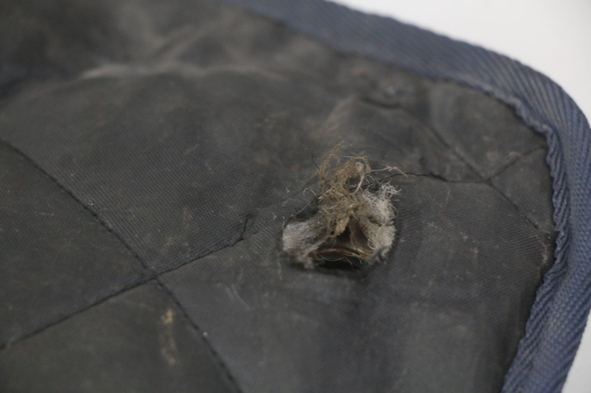 photo de PROTECTION APRON KYMCO SENTO 100 (2008 - 2013) - Alternative perspective