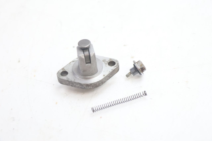 photo de CAM CHAIN TENSIONER MASH DIRT TRACK 50 (2018 - 2020) - Product overview