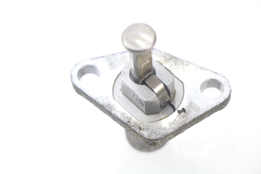 photo de CAM CHAIN TENSIONER PIAGGIO MP3 LT 300 (2010 - 2016) - Component detail