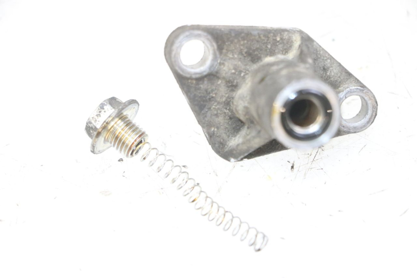 photo de CAM CHAIN TENSIONER PIAGGIO MP3 LT 300 (2010 - 2016) - Alternative perspective