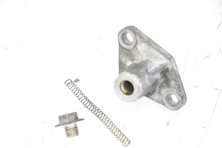 photo de TIMING CHAIN TENSIONER PIAGGIO MP3 125 (2006 - 2014) - Alternative perspective