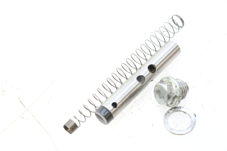 photo de CAM CHAIN TENSIONER APOLLO RFZ 125 - Component detail
