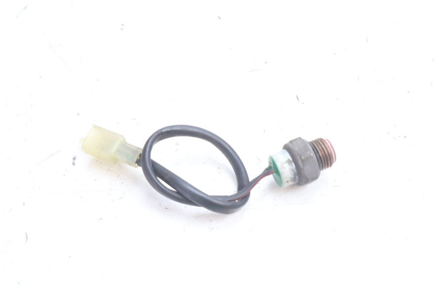 photo de THERMOCONTACT SUZUKI BURGMAN 125 (2007 - 2014) - Zoom on usage condition