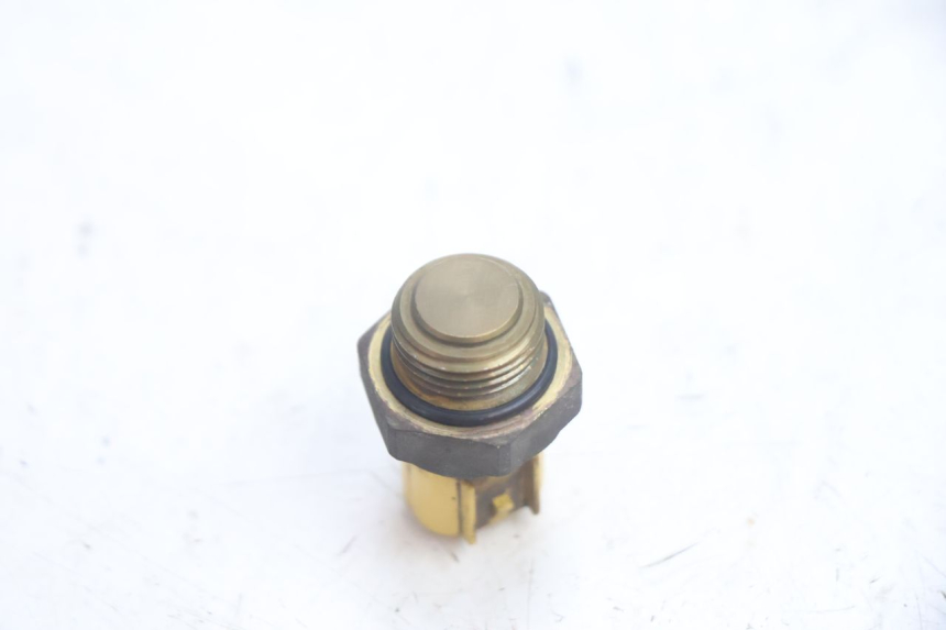 photo de THERMO SWITCH SUZUKI BURGMAN EXECUTIVE ABS 650 (2006 - 2012) - Alternative perspective